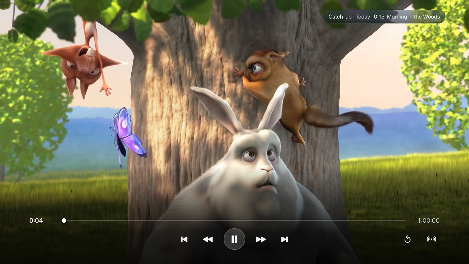 Apple TV · Android TV · Catch-up