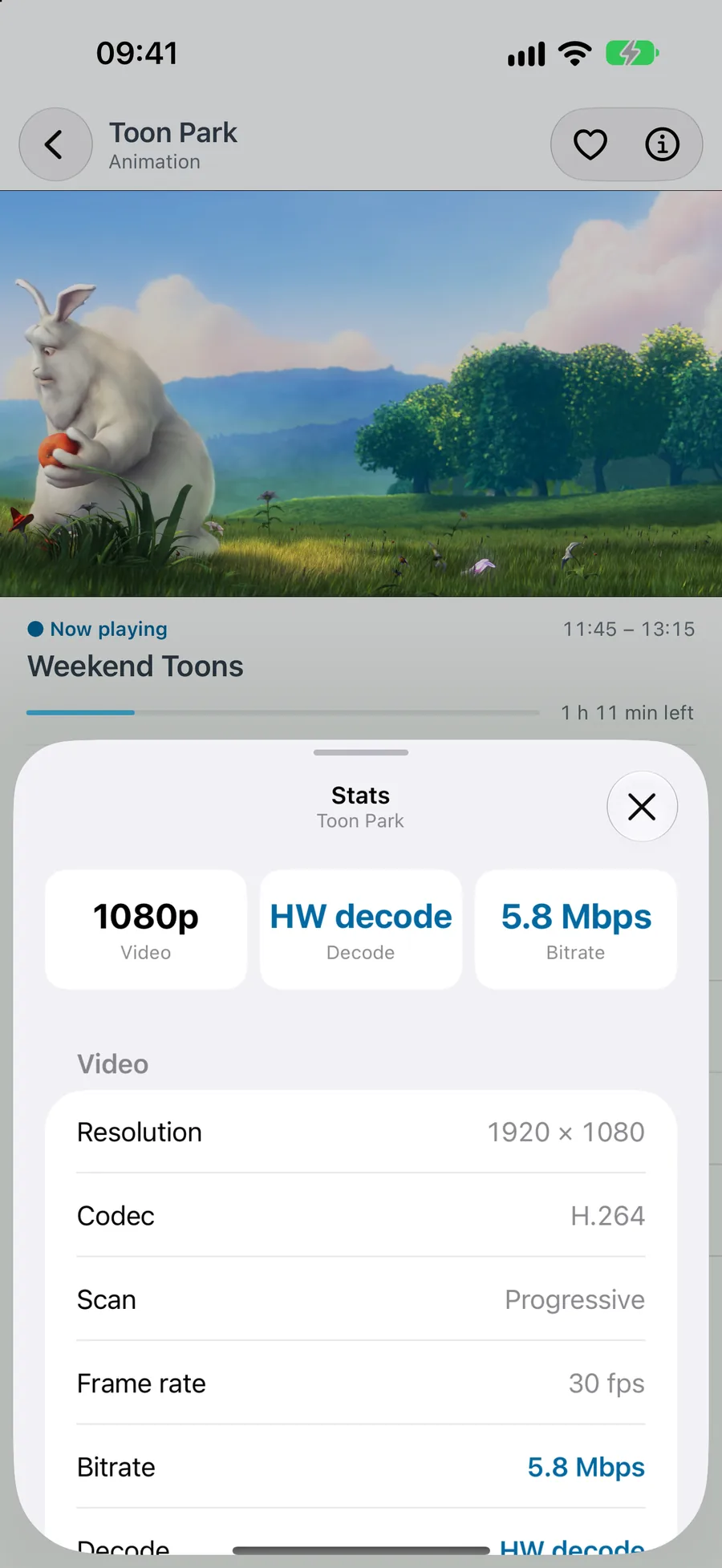 iPhone · iPad · Info panel
