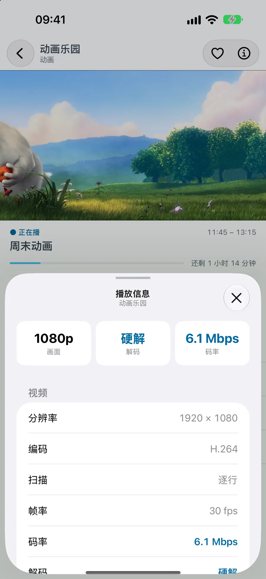 iPhone · iPad · 信息面板