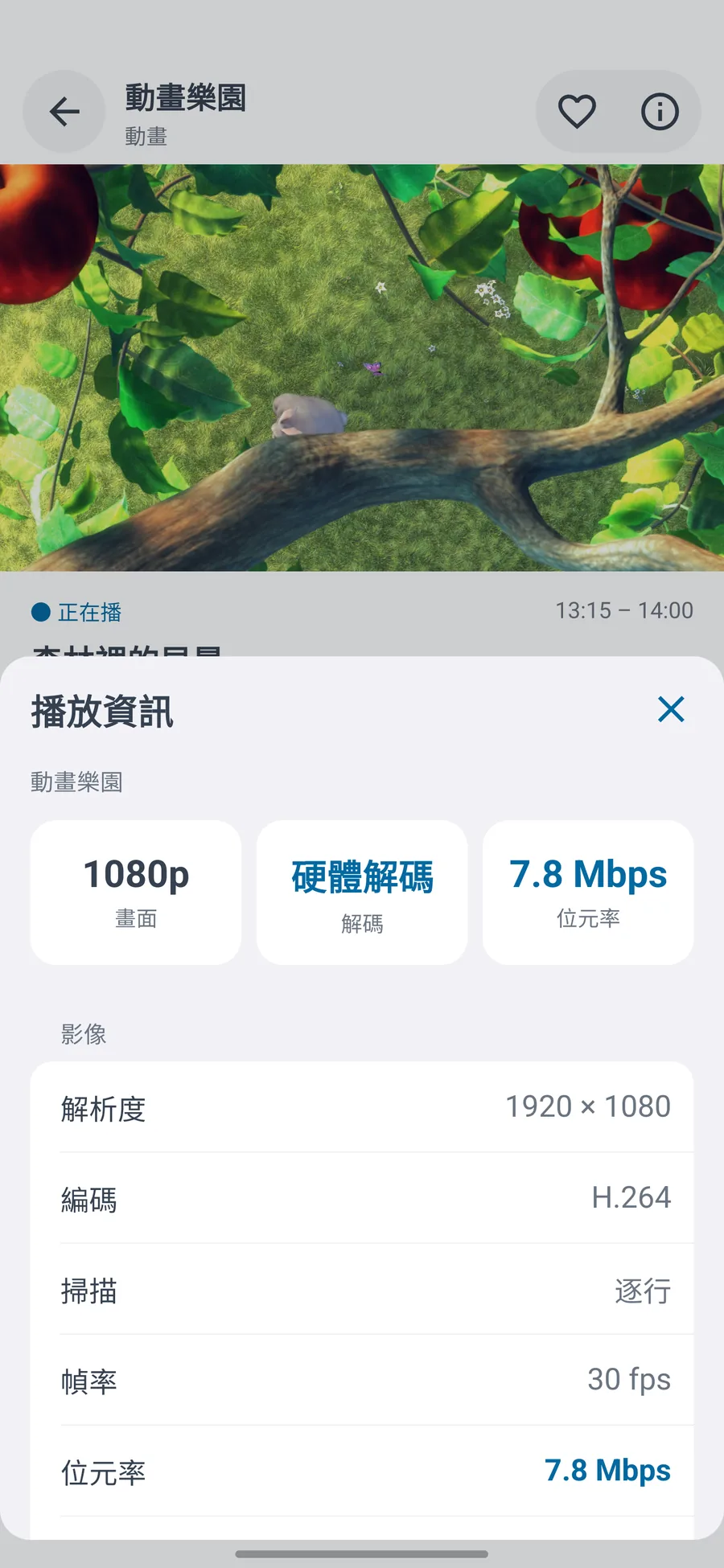 Android 手機 · 平板 · 資訊面板