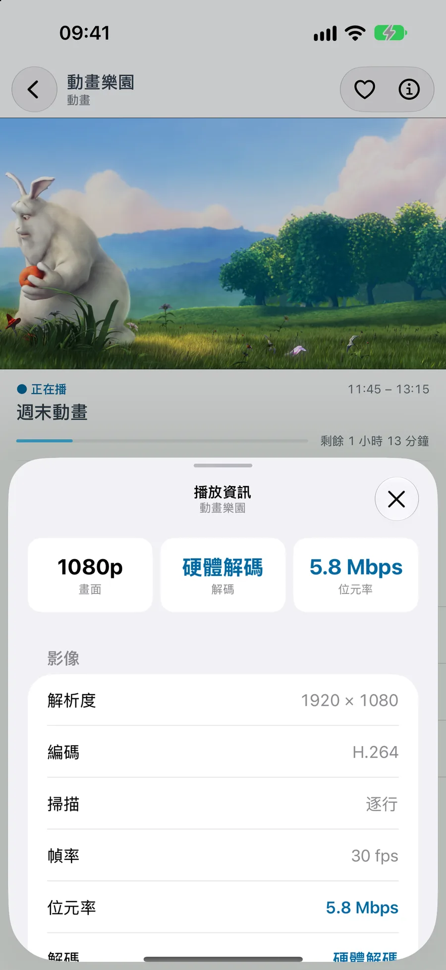 iPhone · iPad · 資訊面板